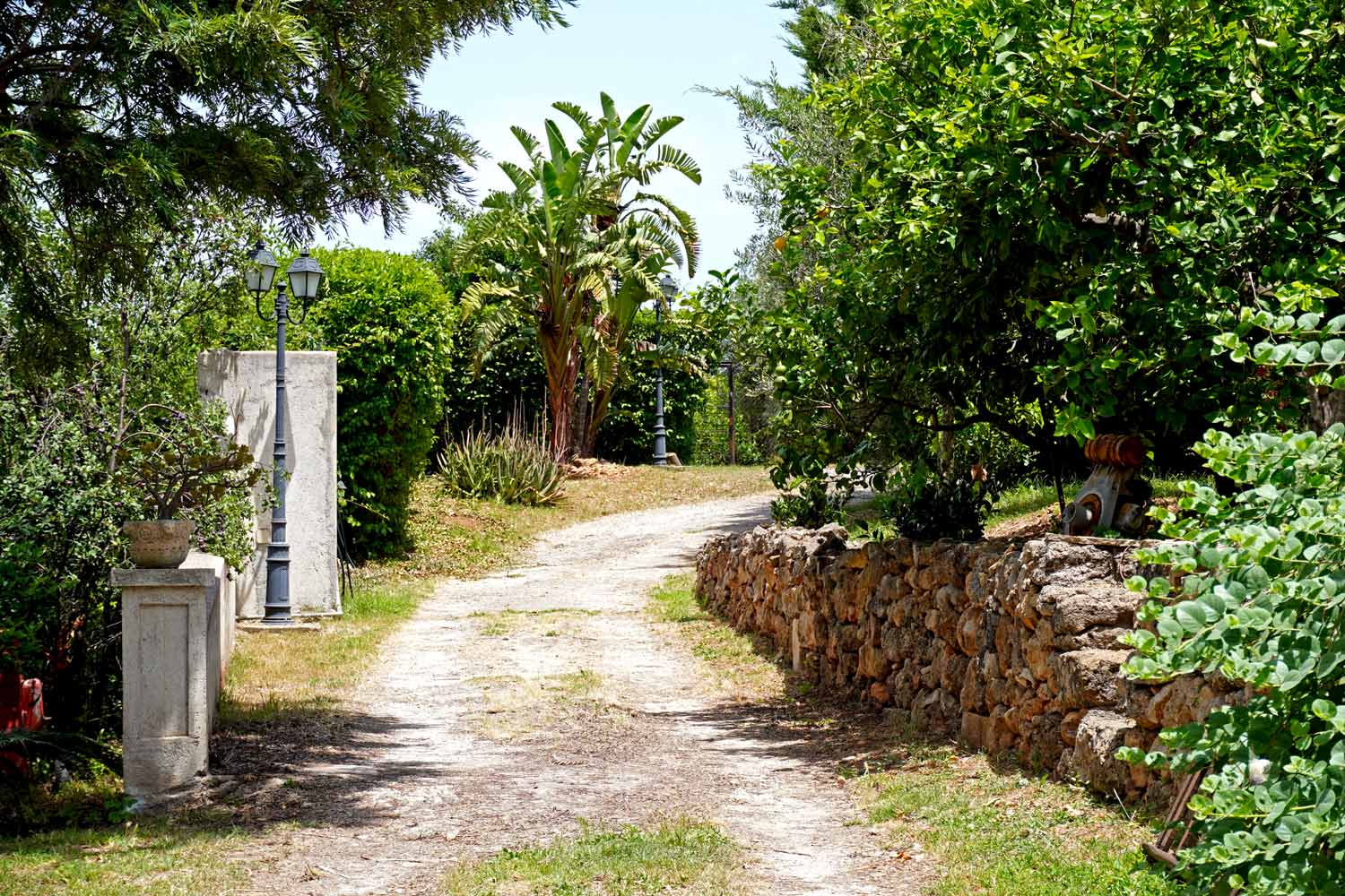 Ingresso dei terreni di Jacli - liquorificio artigianale