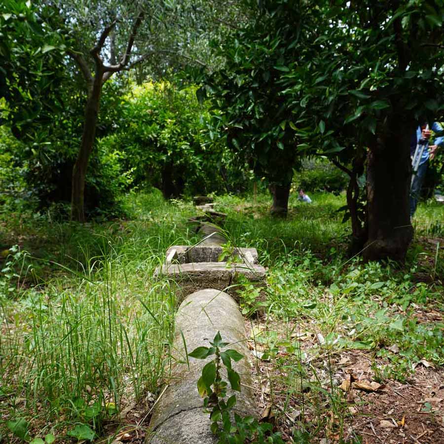 Jacli-Liquorificio artigianale palermo (2)