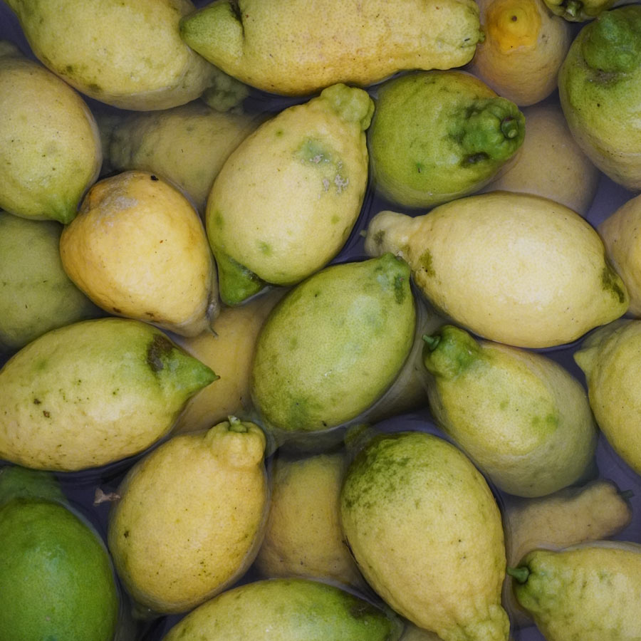 Jacli-Liquorificio artigianale palermo (4)