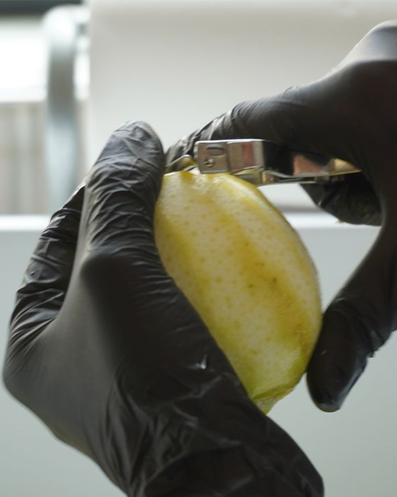 Limoni-Jacli-Liquorificio-Artigianale_verticale